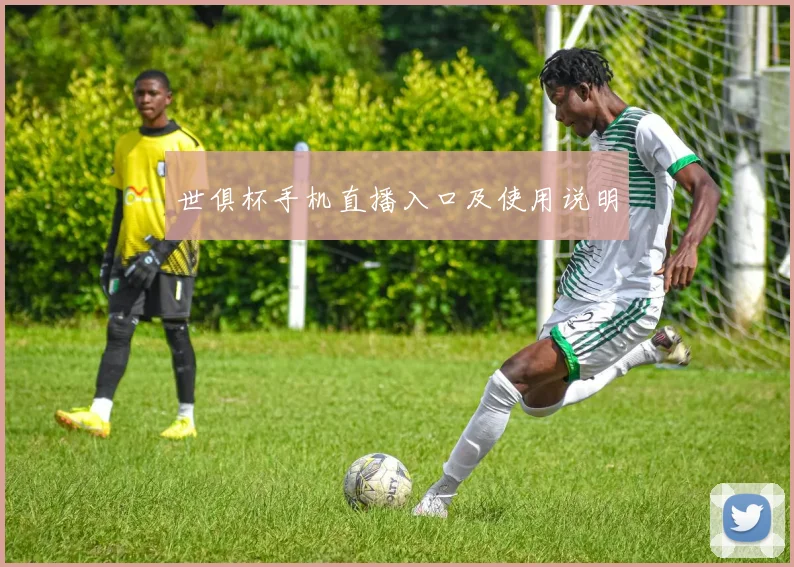 世俱杯手机直播入口及使用说明
