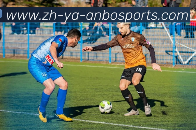 安博体育APP 高清赛事图